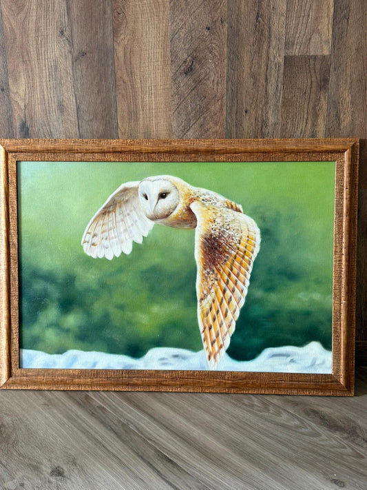 Barn Owl in Flight - oil on canvas in rustic wood frame
