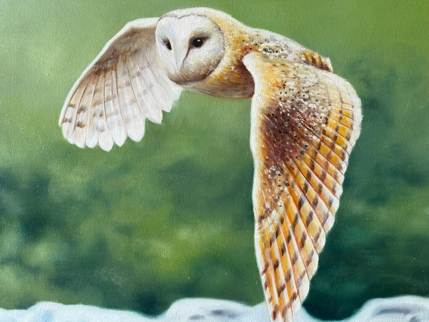 Barn Owl in Flight - oil on canvas in rustic wood frame