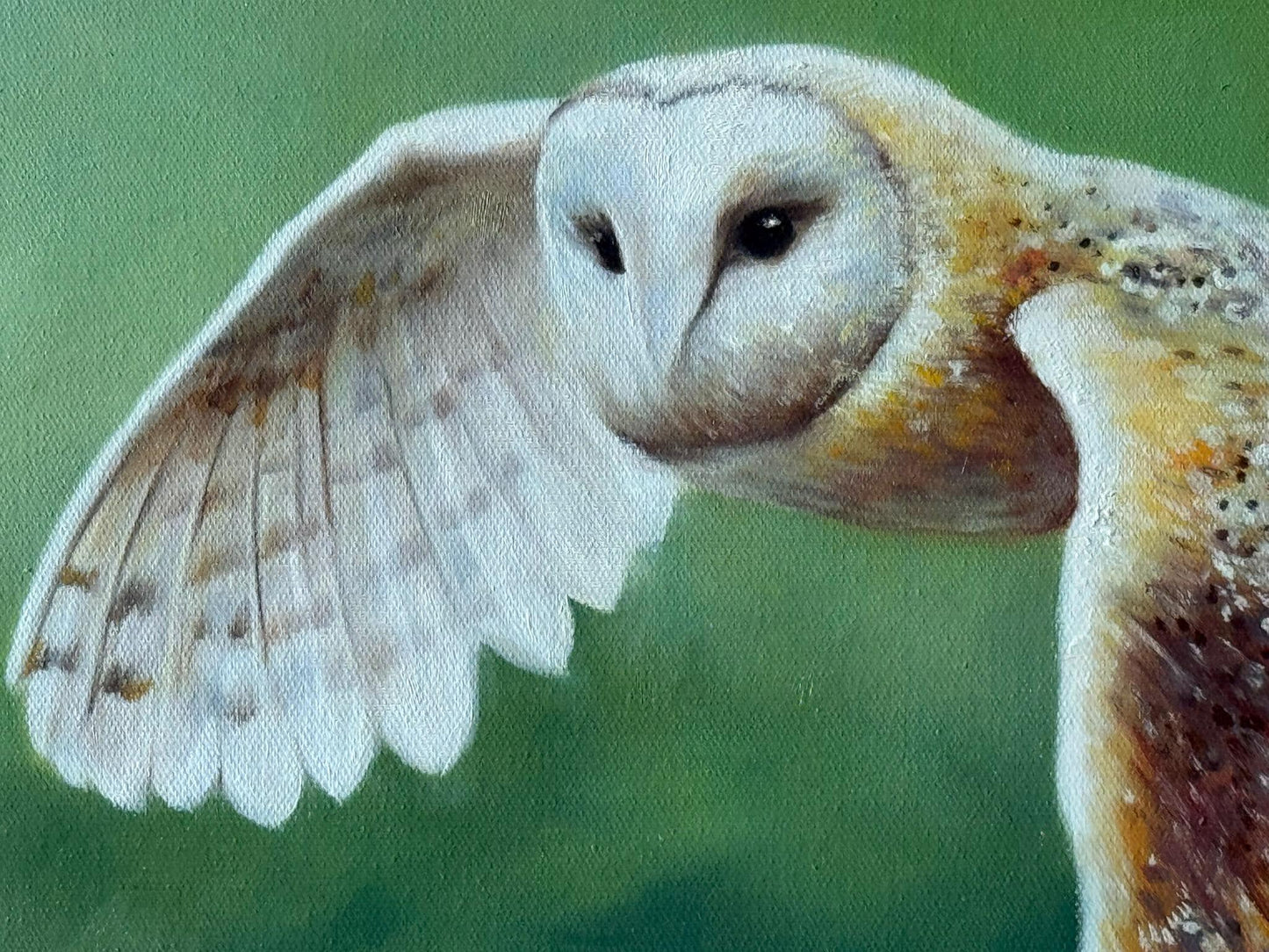 Barn Owl in Flight - oil on canvas in rustic wood frame