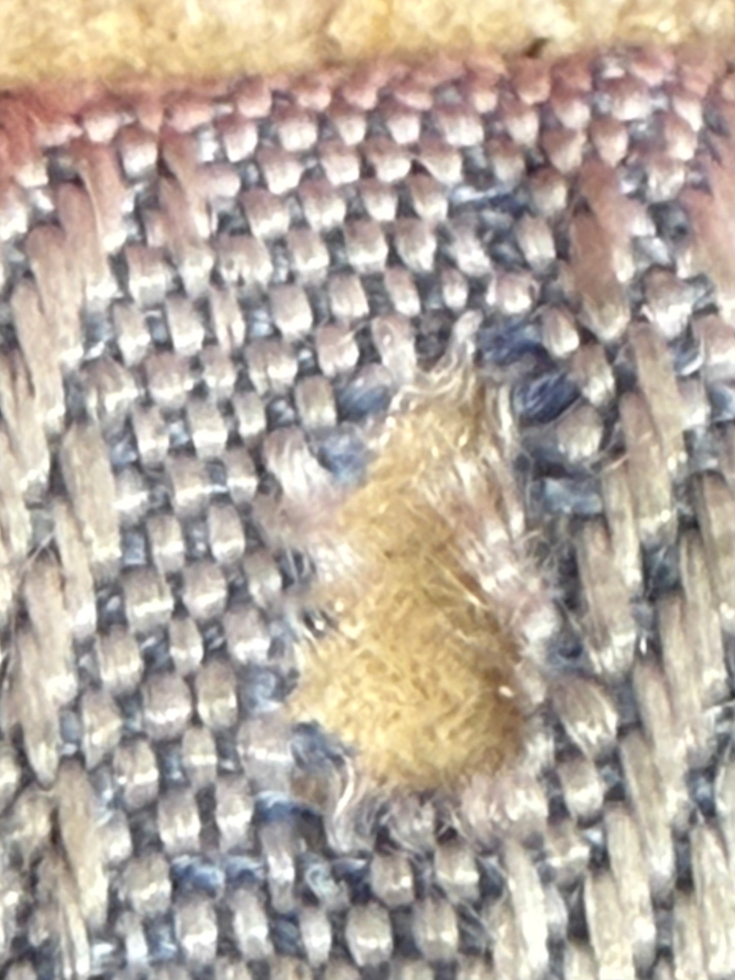 Antique Framed Chinese Embroidered Collar from the Late Qing Dynasty