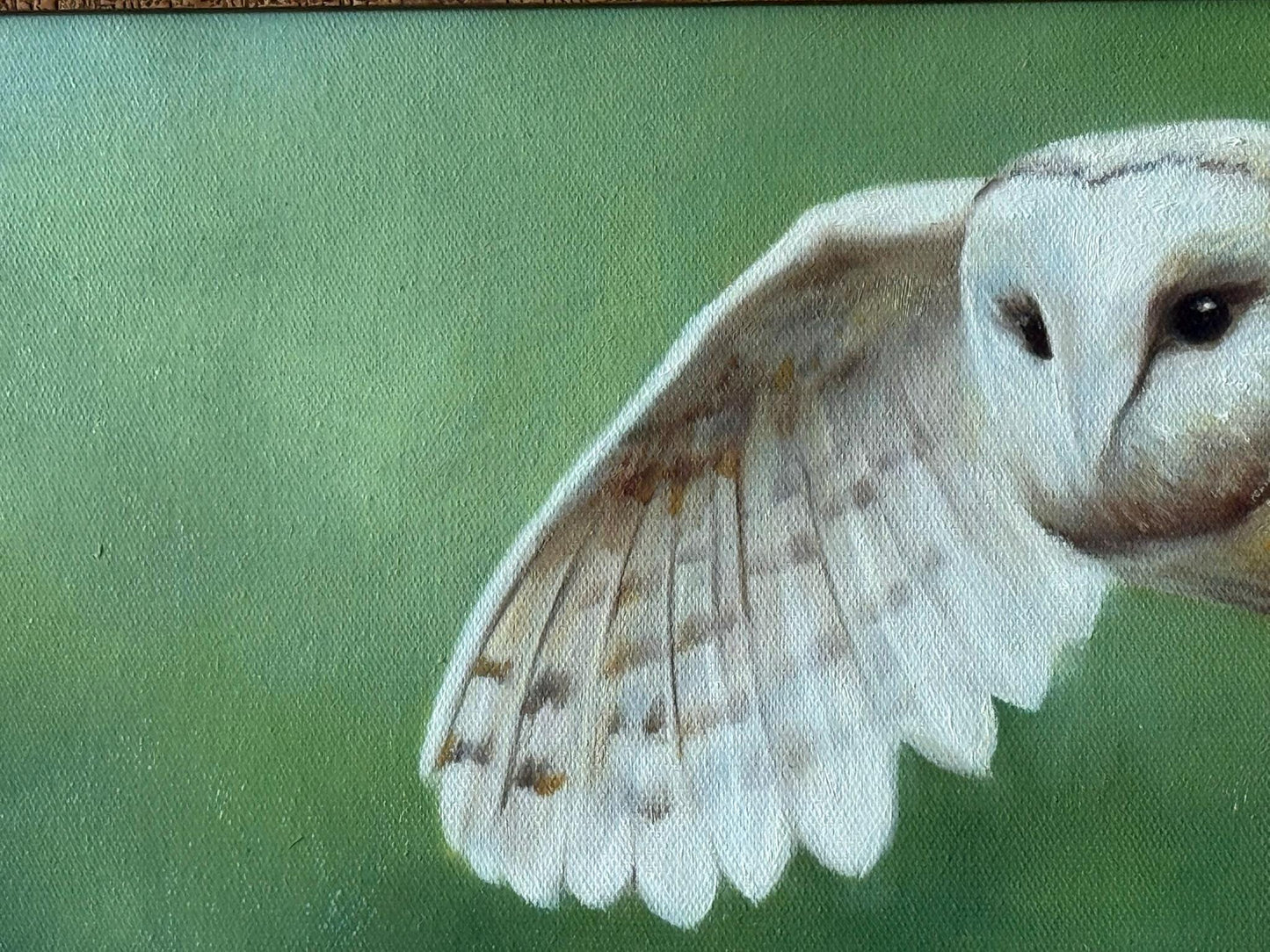 Barn Owl in Flight - oil on canvas in rustic wood frame